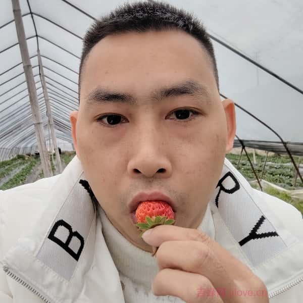 海口征婚相亲网